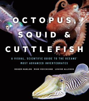 bigCover of the book Octopus, Squid, and Cuttlefish by 