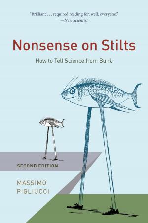 Cover of the book Nonsense on Stilts by Gananath Obeyesekere