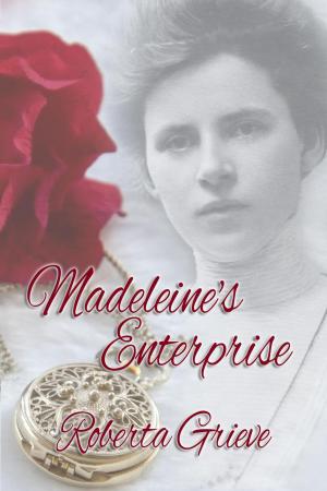Cover of the book Madeleine's Enterprise by Penny Jordan