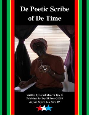 Cover of the book De Poetic Scribe of De Time by Antonio Palomo-Lamarca