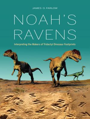 Book cover of Noah's Ravens