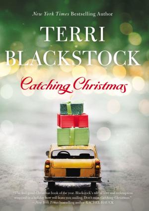 Cover of the book Catching Christmas by Jane Stern