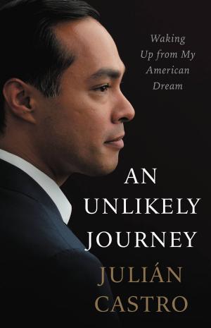 Cover of the book An Unlikely Journey by David Perlmutter