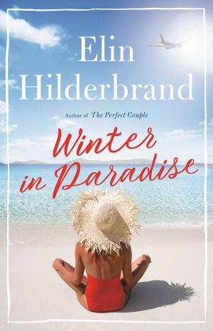 Book cover of Winter in Paradise