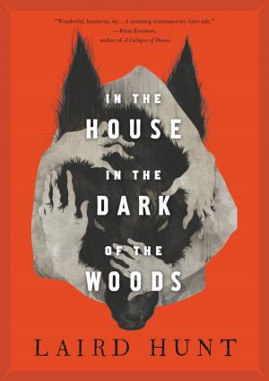 Cover of the book In the House in the Dark of the Woods by Harriet Lane