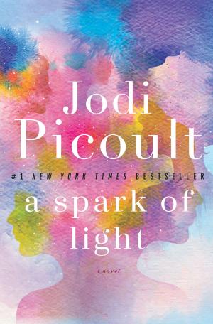 Cover of the book A Spark of Light by J.R. Ward