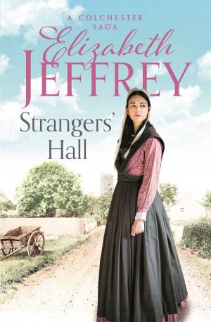 Cover of the book Strangers' Hall by Barbara Fox