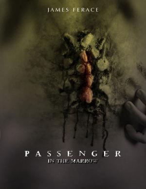 Cover of the book Passenger In the Marrow by James Garvey