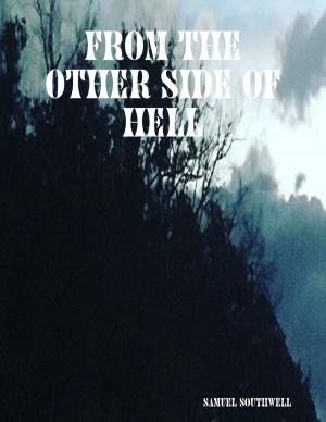 Cover of the book From the Other Side of Hell by Yolandie Mostert