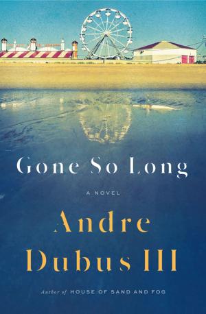 Book cover of Gone So Long: A Novel