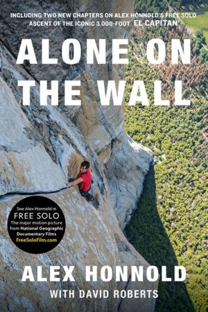 Cover of the book Alone on the Wall (Expanded edition) by Allan N. Schore, Ph.D.