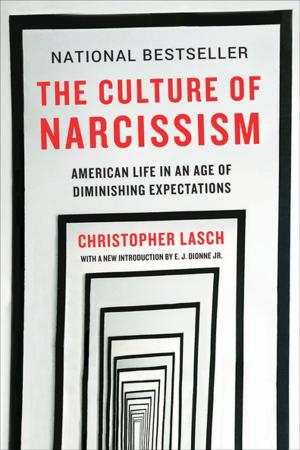 Cover of the book The Culture of Narcissism: American Life in An Age of Diminishing Expectations by James McCourt