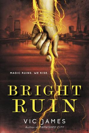 Book cover of Bright Ruin