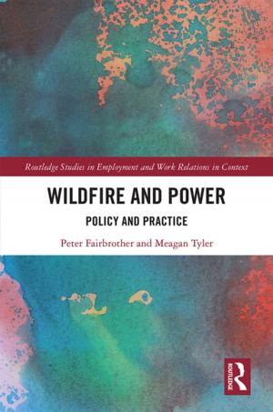 Cover of the book Wildfire and Power by Joy Sather-Wagstaff