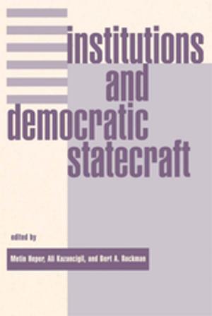Cover of the book Institutions And Democratic Statecraft by Stephen Cade Hetherington