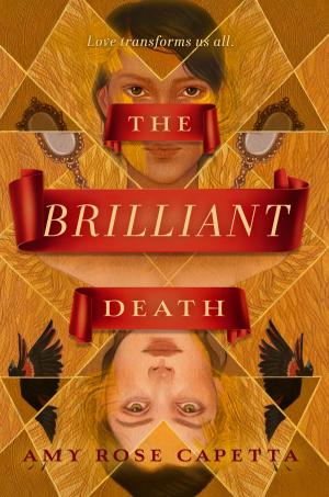 Cover of the book The Brilliant Death by Melissa J. Morgan