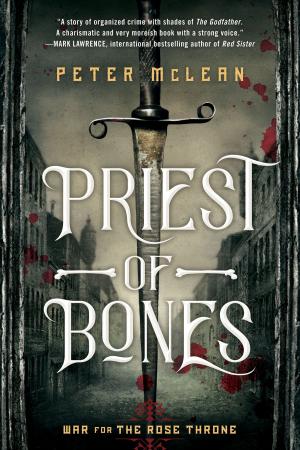 bigCover of the book Priest of Bones by 