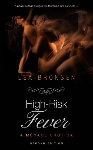 Cover of the book High-Risk Fever by Rachel Robinson