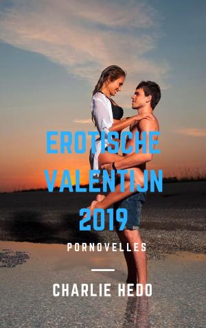 Book cover of Erotische Valentijn 2019