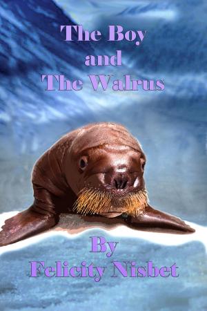 Cover of the book The Boy and the Walrus by Felicity Nisbet
