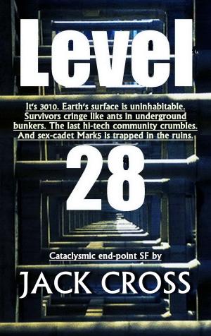 Cover of the book Level 28 by Victoria Champion