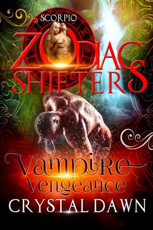 Cover of the book Vampire Vengeance by VJ Erickson