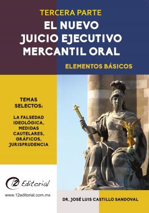 Book cover of El nuevo Juicio Ejecutivo Mercantil Oral: Parte 3