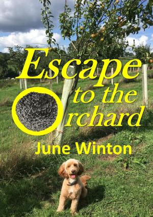 Cover of the book Escape to the Orchard by ARC Counselling