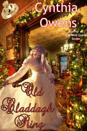 Cover of the book The Old Claddagh Ring by Polly McCrillis