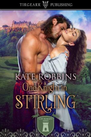 Cover of the book One Knight in Stirling by David J. O'Brien