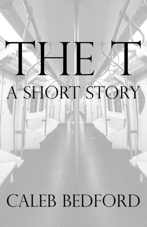 Cover of the book The T: A Short Story by Mickey Ann