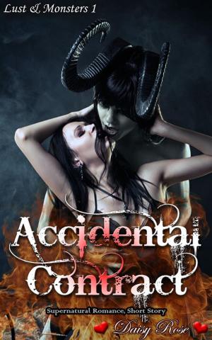Cover of the book Accidental Contract by Ed Teja