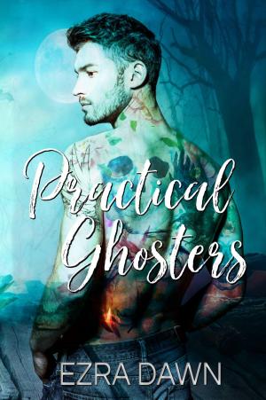 Cover of the book Practical Ghosters by Ezra Dawn