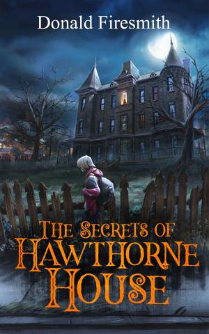 Cover of the book The Secrets of Hawthorne House by D Malone McMillan
