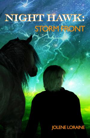 bigCover of the book Night Hawk: Storm Front by 