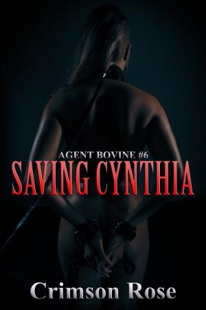 Book cover of Saving Cynthia