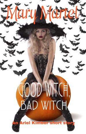 Cover of Good Witch, Bad Witch