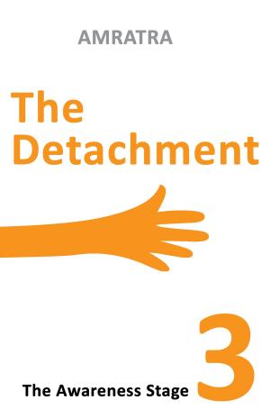 Cover of the book The Detachment The Awareness Stage by Kimberly M. Quezada
