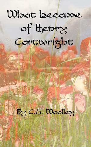 Book cover of What Became of Henry Cartwright