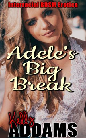 Cover of the book Adele's Big Break by Kelly Addams
