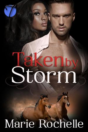 Cover of the book Taken by Storm by Aliyah Burke