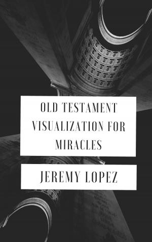 Book cover of Old Testament Visualization for Miracles