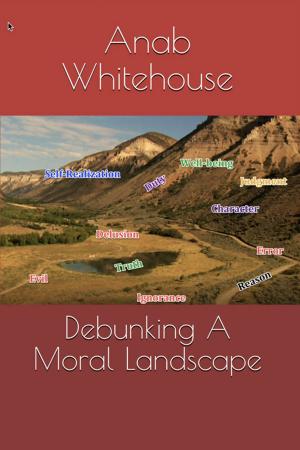 Book cover of Debunking a Moral Landscape