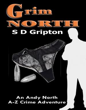 bigCover of the book Grim North by 