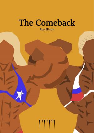 Cover of the book The Comeback by Valery Faye