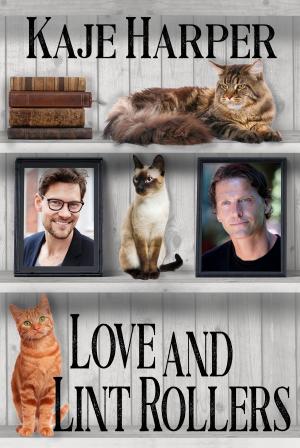Cover of the book Love and Lint Rollers by Andrew Malan Milward