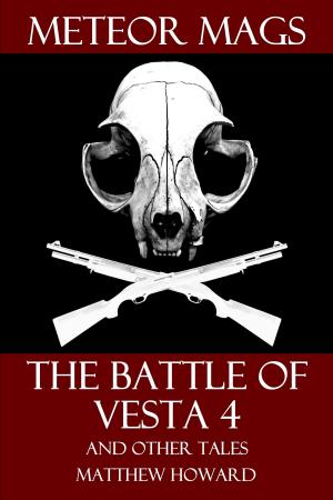 Cover of the book Meteor Mags: The Battle of Vesta 4 and Other Tales by A. R. Caldwell