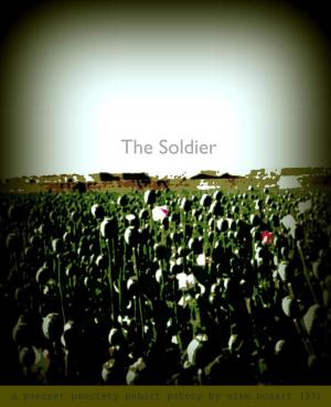 Cover of the book The Soldier by P. K. Brent