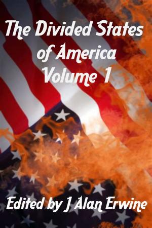 Cover of the book The Divided States of America Vol. 1 by J Alan Erwine