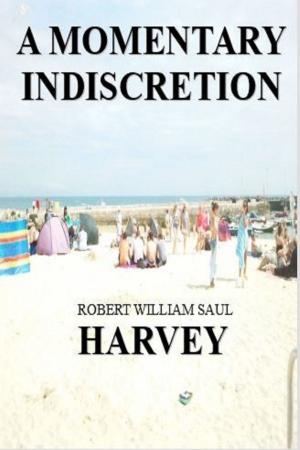 Book cover of A Momentary Indiscretion (A Carmington Novel)